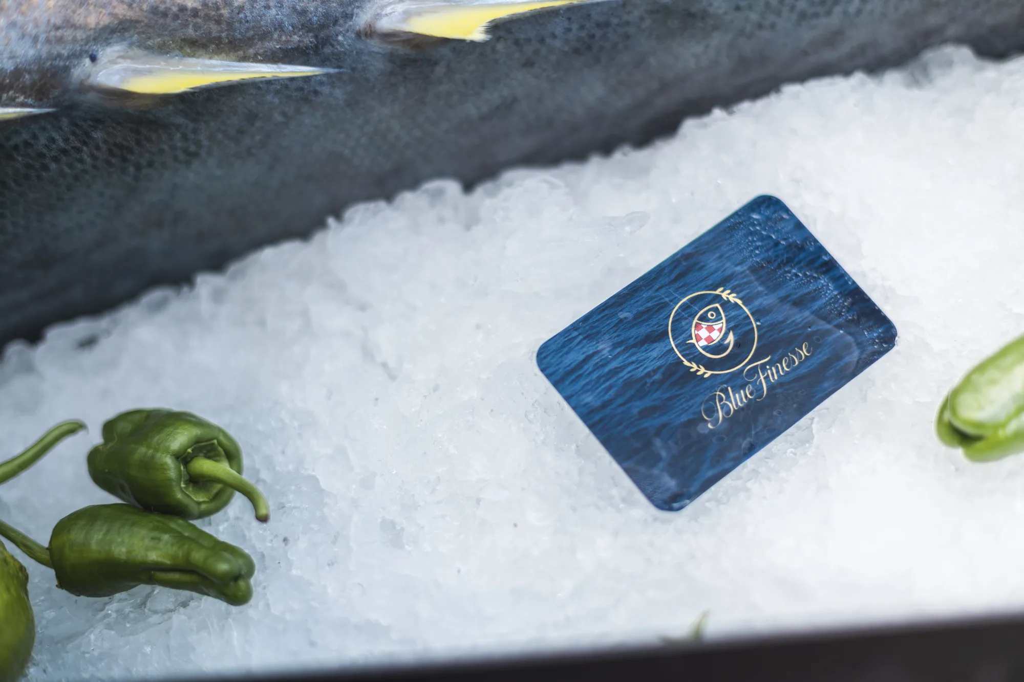 Der Bluefin auf Crushed Ice, daneben grüne Paprika