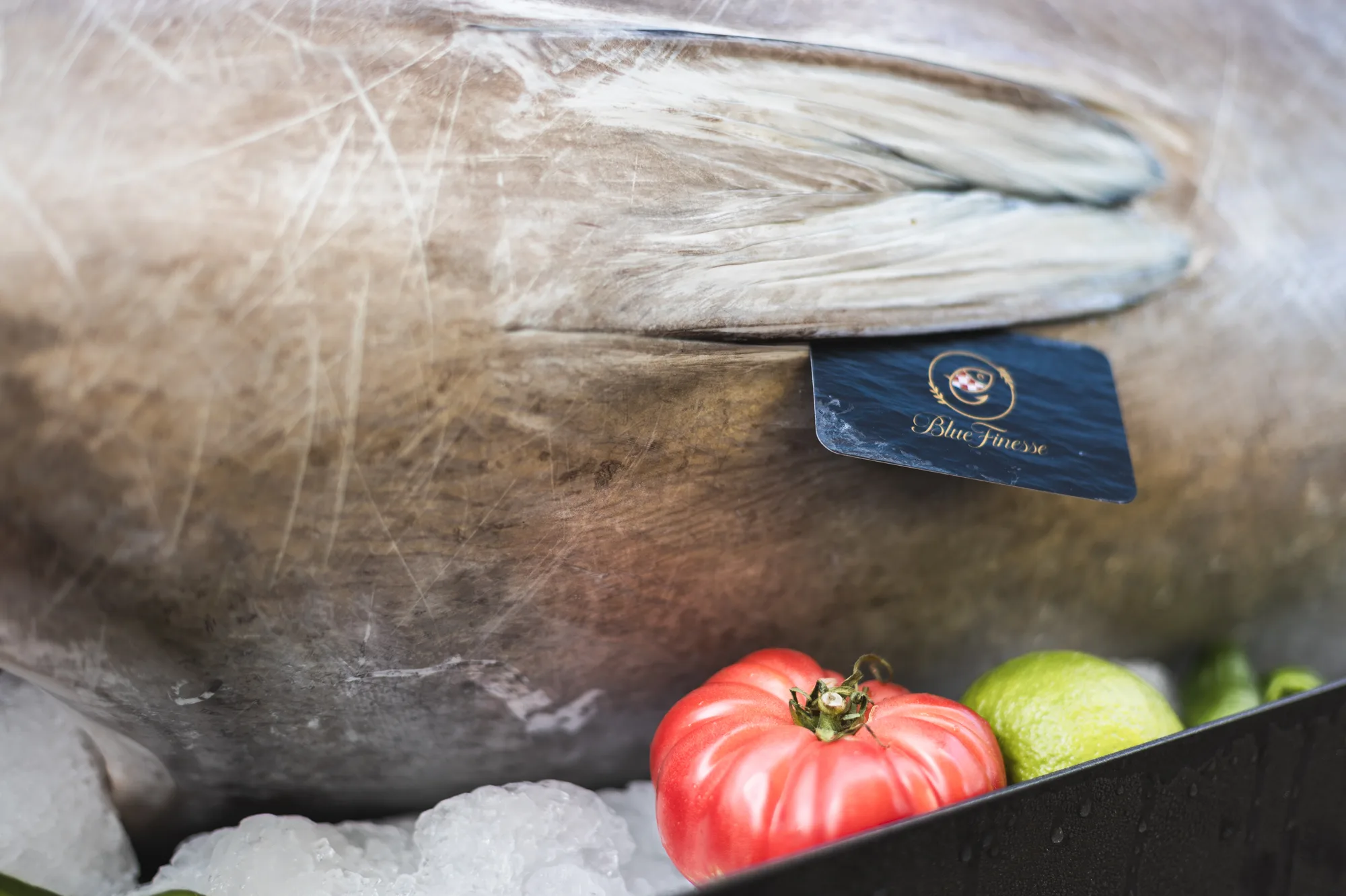 Die Haut des Bluefin in Nahaufnahme auf Crushed Ice